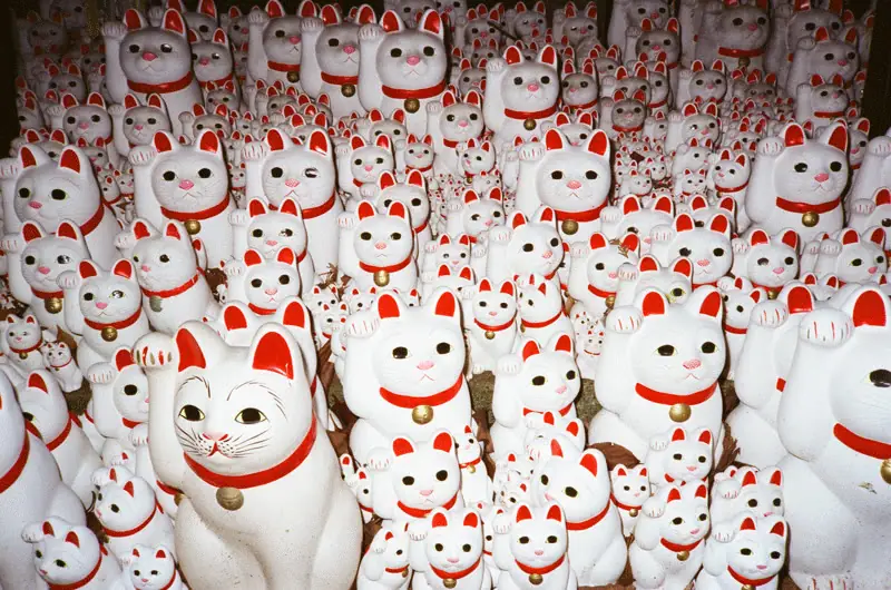 Maneki-neko, Tokyo